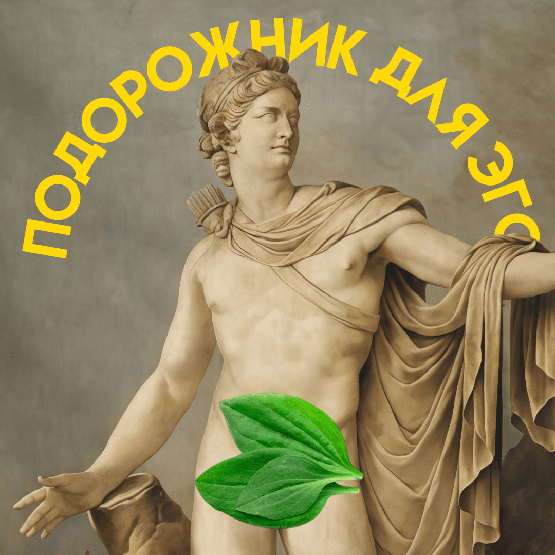 Подорожник для Эго